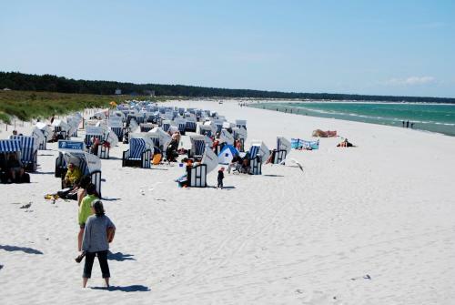Ferienhaus Wustrow Am Ostseestrand
