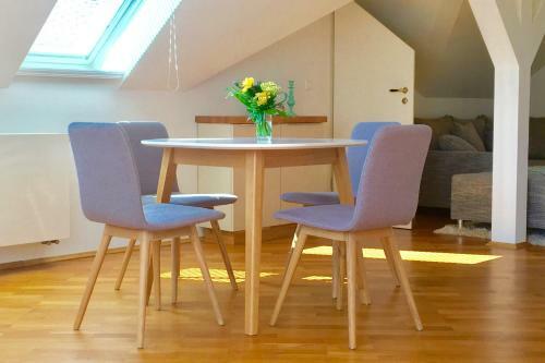 Apartamento Appartment Villa Am Bretschneiderpark