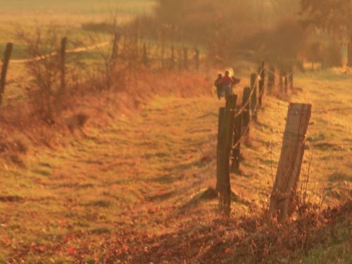 La Grande D�tente � La Campagne