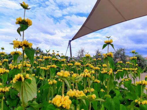 Camping Veld & Duin