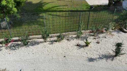Apartamento Faneromeni Court