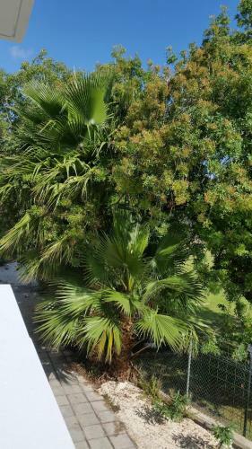Apartamento Faneromeni Court