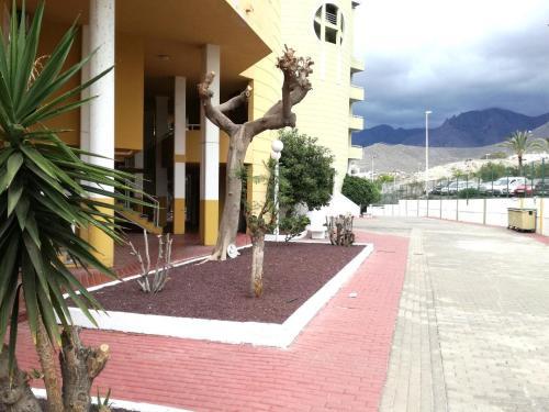 Apartment Las Americas Costa Adeje