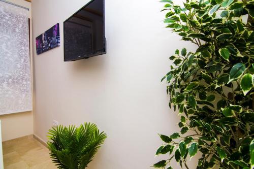 Apartamentos Centro Puerto de Santa Maria