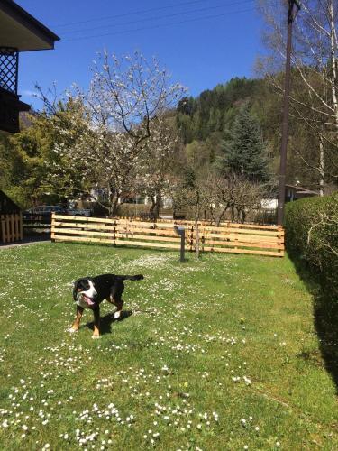 Apartments In Pieve Di Ledro/ledrosee 22646
