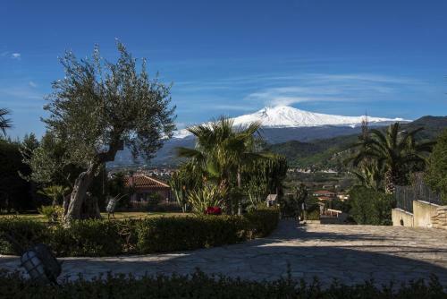 Bed & Breakfast Villa Carly Apartment With Private Pool