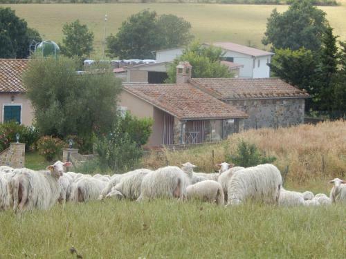 Agroturismo Piane Del Bagno