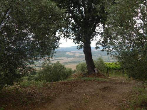 Agroturismo Piane Del Bagno