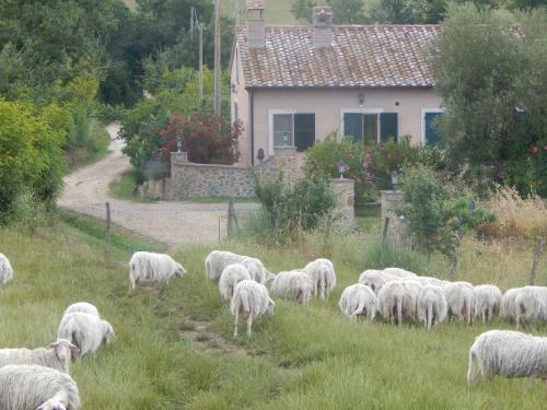 Agroturismo Piane Del Bagno
