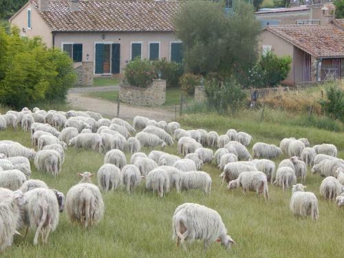 Agroturismo Piane Del Bagno
