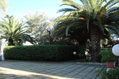Apartamento Residence Alba