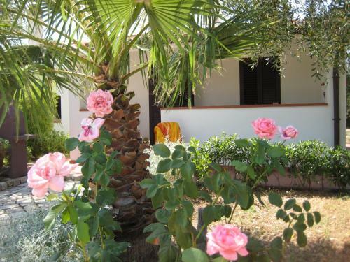 Apartamento Residence Villantica