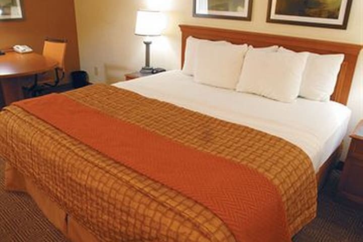 Hotel La Quinta Inn & Suites Tampa - Brandon West