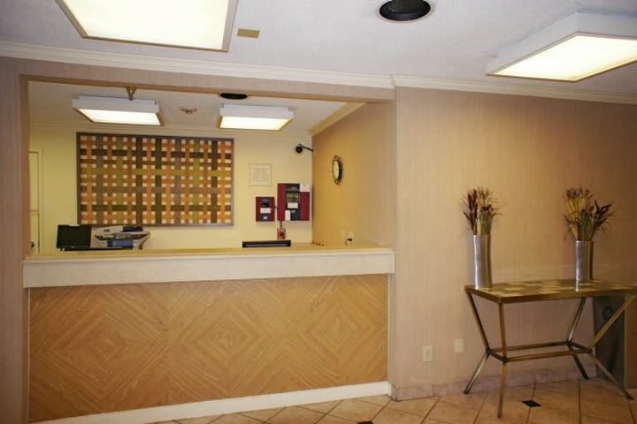 Hotel La Quinta Inn & Suites Tampa - Brandon West
