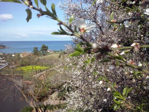 Apartamento Il Volo Dei Gabbiani