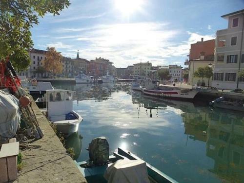 Apartamento Appartamento Perco Riva Dandolo