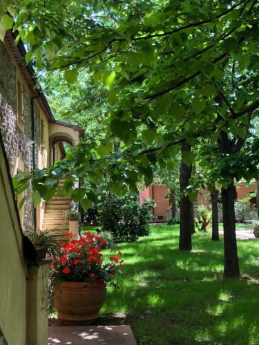 Agroturismo Agriturismo Il Piaggione