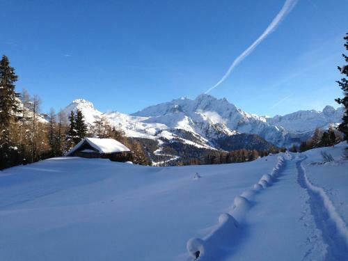 Apartamento Chalet Orchidea