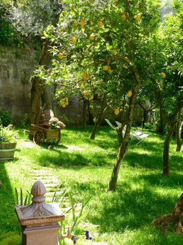 Bed & Breakfast Villa Carolina Country House