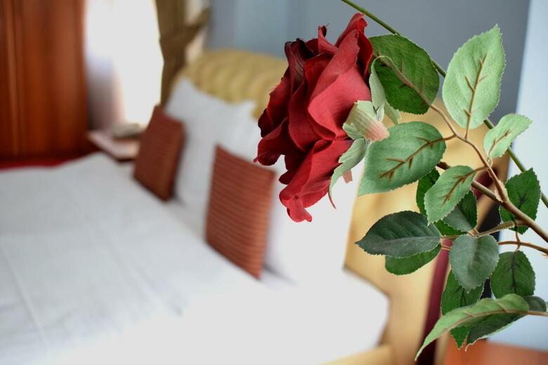 Aristocrat Palace Hotel