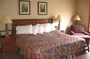 Hotel Westgate Smoky Mountain Resort