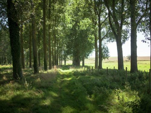 Holiday Home Maison De Vacances - Le Ponchel