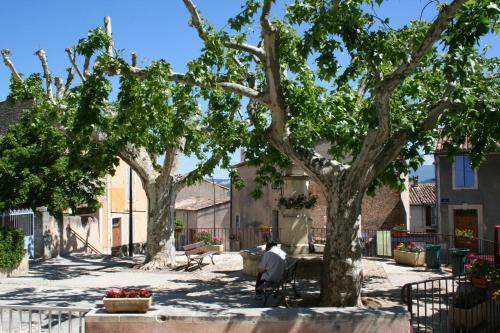 Chambre Du Platane - Bed & Breakfast