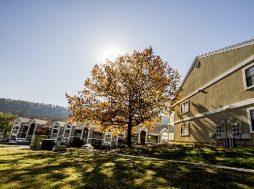 Hotel Pointe Royale Condo Vacation And Golf Resort