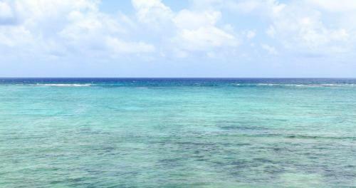 Hotel Cielo Maya Beach Tulum