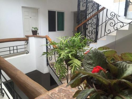 Hotel Casa Del Parque Vallarta