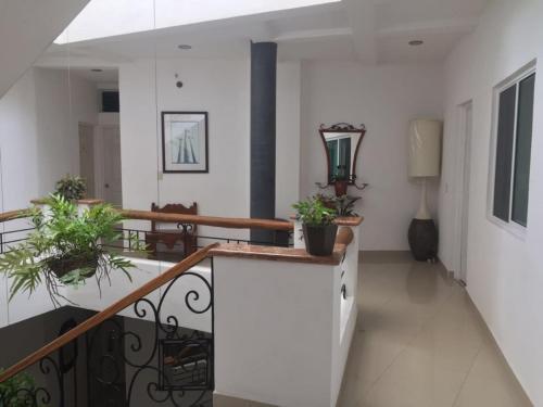 Hotel Casa Del Parque Vallarta