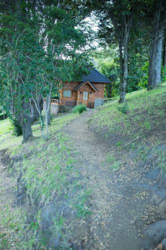 Lodge Cocos Cura Caba�as