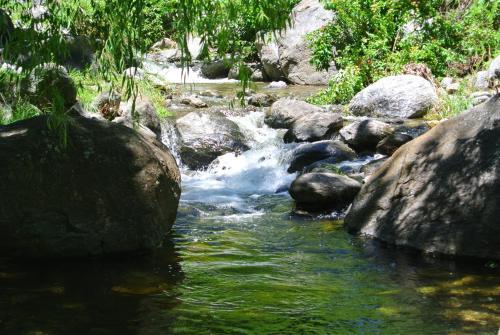 Lodge Las Nubes Caba�as & Loft