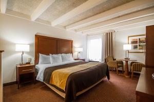 Hotel Comfort Inn & Suites Madison