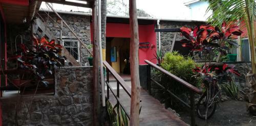 Albergue Hostal Galapagos Morning Glory