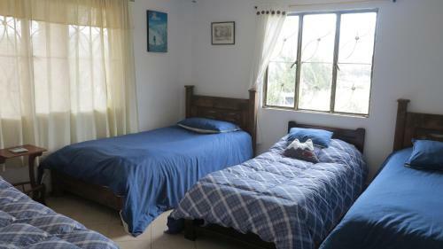 Bed & Breakfast Hostal Casa Lantana