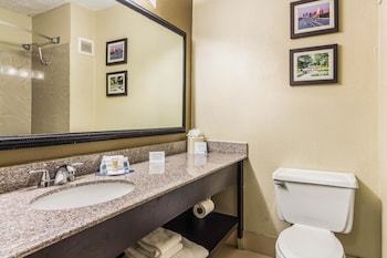 Hotel La Quinta Inn Dallas Lbj Central