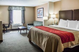Hotel Comfort Inn & Suites Downtown
