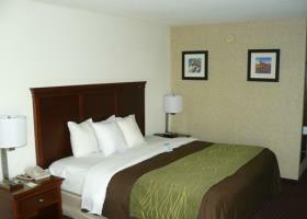 Hotel Comfort Inn Opryland Area