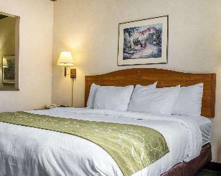 Hotel Comfort Suites At Metro Center