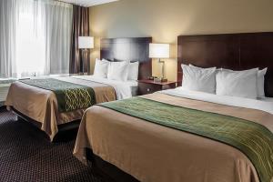 Hotel Comfort Inn & Suites