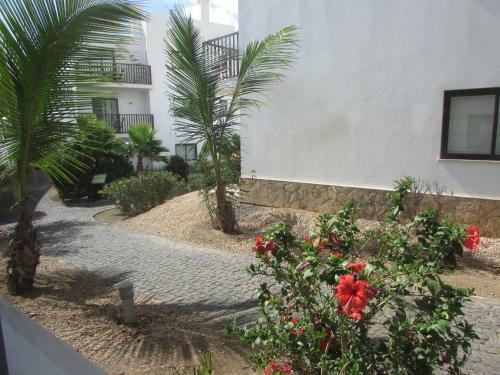 Self Catering Apartments At Dunas Resort