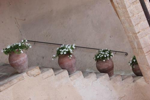 Bed & Breakfast Abbazia San Pietro In Valle