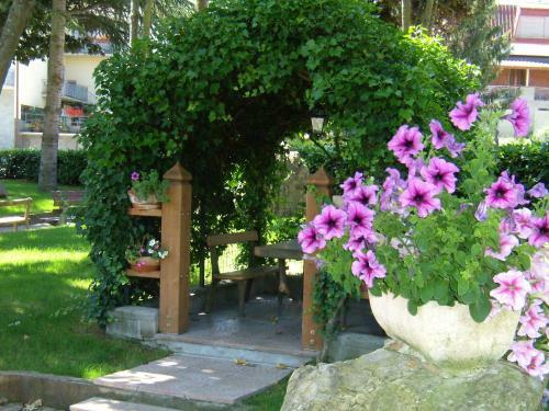 Hotel Falco D'oro