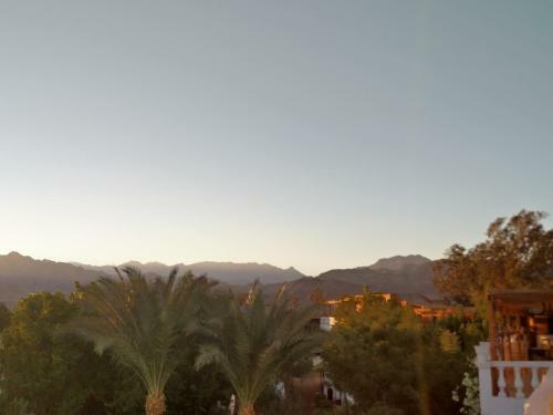 Seven Heaven Hotel Dahab
