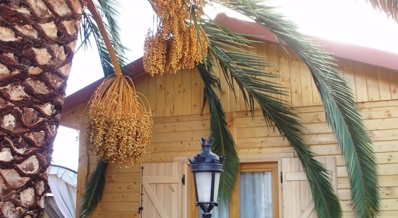 Hotel La Nueva Mansi�n De Navalcarnero