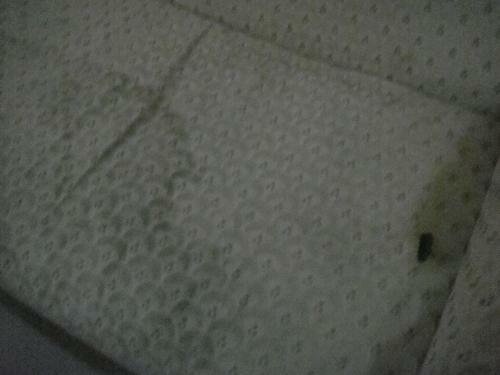 Hidden Pearl Hotel (janus Luxury Suites)