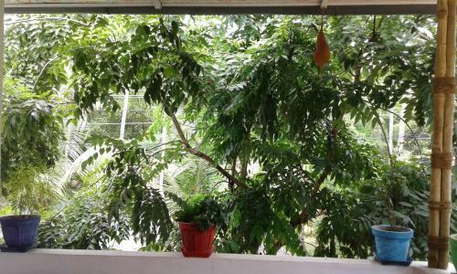 Bed & Breakfast Marari Febins Homestay