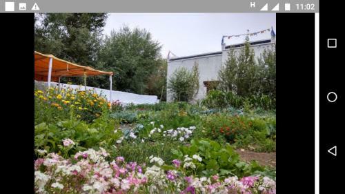 Jimmy's Homestay