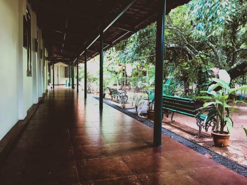 Bed & Breakfast Palm Grove Service Villa